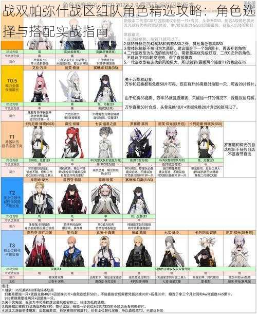 战双帕弥什战区组队角色精选攻略:角色选择与搭配实战指南